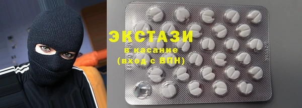 твердый Бородино