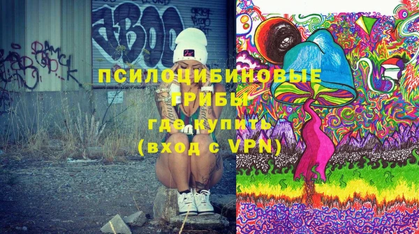 твердый Бородино