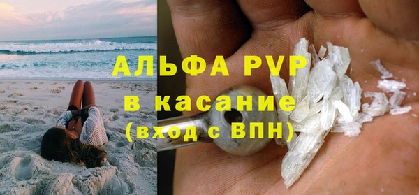 твердый Бородино