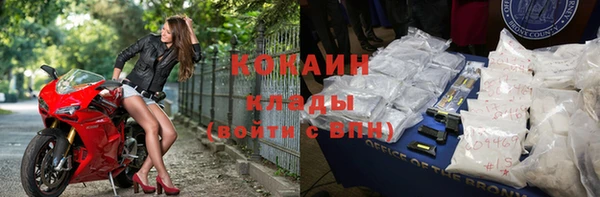 твердый Бородино