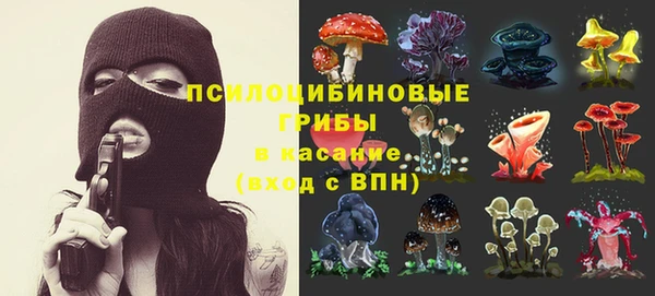 твердый Бородино
