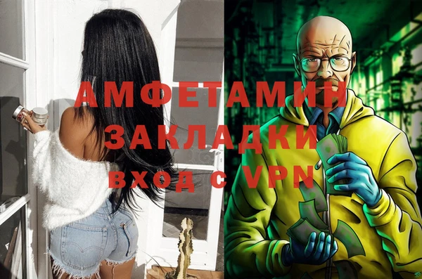 твердый Бородино