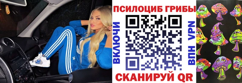 где можно купить наркотик  Славянск-на-Кубани  Псилоцибиновые грибы GOLDEN TEACHER 